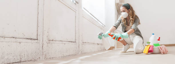 Guerneville, CA Mold Inspection, Removal & Remediation Company